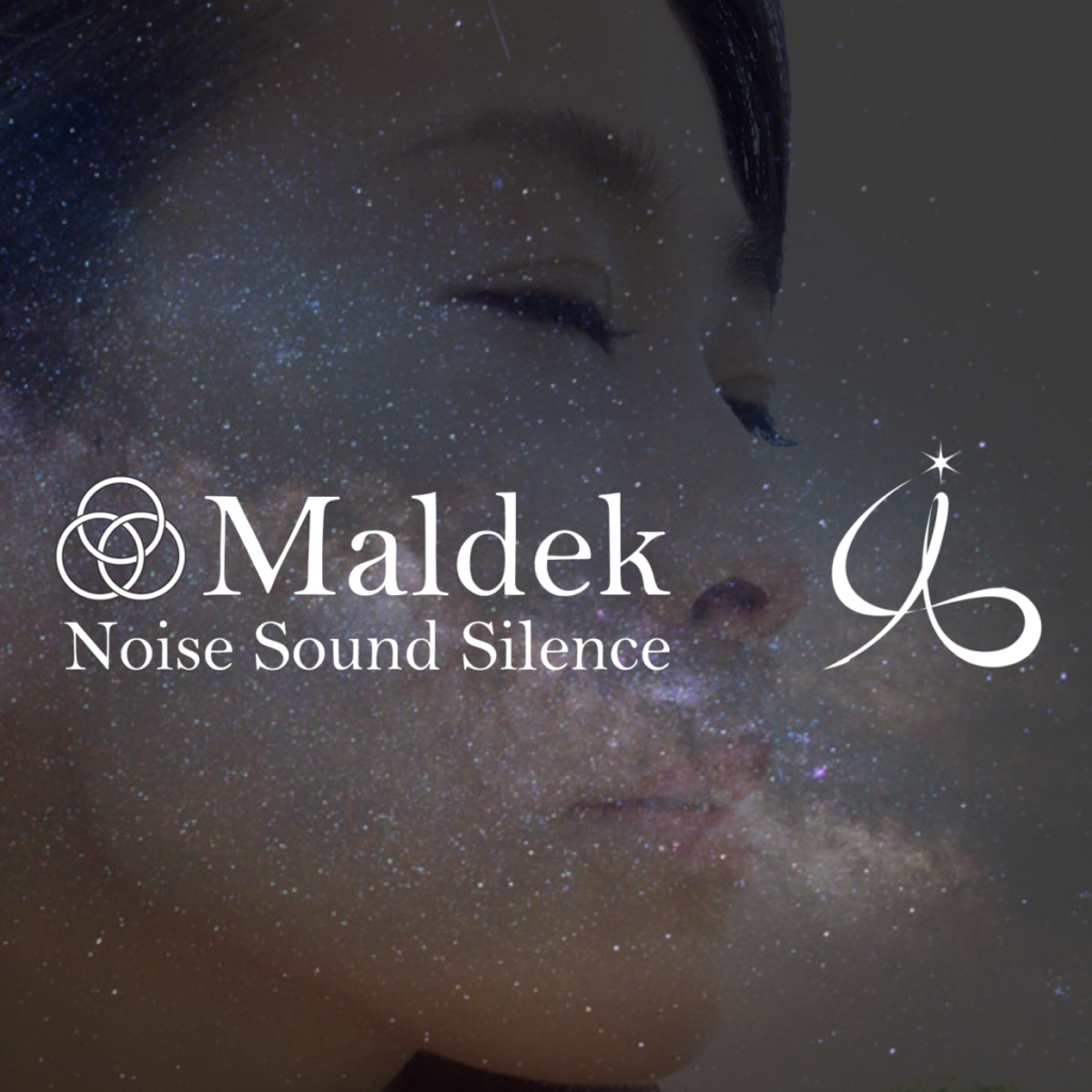 Maldek -Noise Sound Silence-